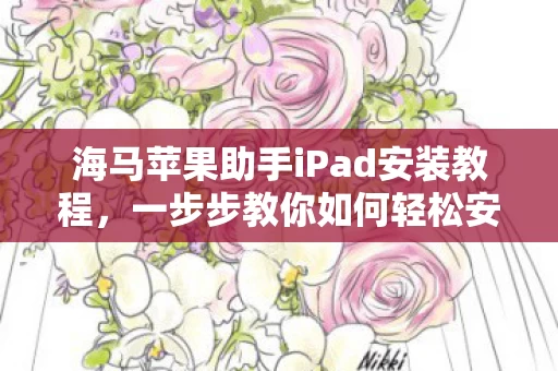海马苹果助手iPad安装教程图片