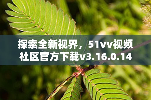51vv视频社区官方下载v3图片
