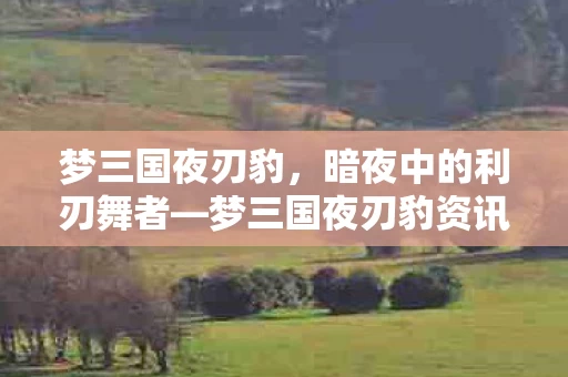 梦三国夜刃豹资讯全解析图片