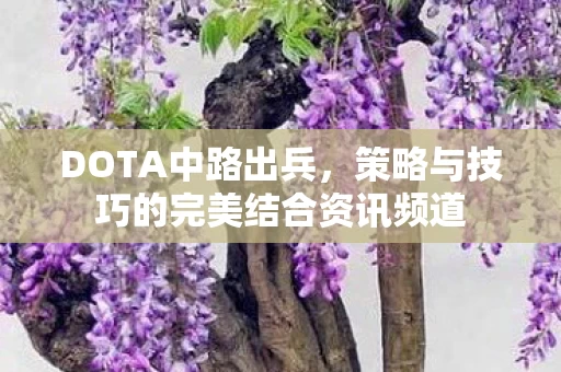 策略与技巧的完美结合资讯频道图片
