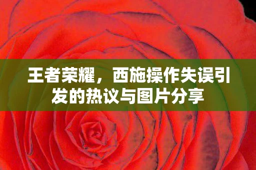 西施操作失误引发的热议与图片分享图片