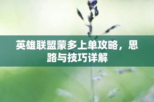 英雄联盟蒙多上单攻略，思路与技巧详解