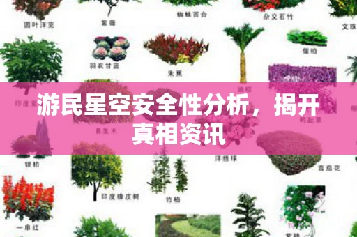 游民星空安全性分析,揭开真相资讯 游民星空安全性分析,揭开真相资讯