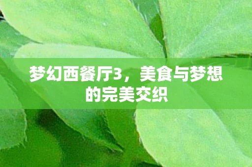 梦幻西餐厅3，美食与梦想的完美交织