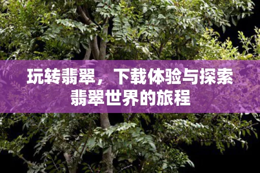 玩转翡翠,下载体验与探索翡翠世界的旅程 玩转翡翠,下载体验与探索翡翠世界的旅程