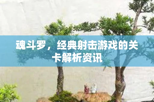 魂斗罗,经典射击游戏的关卡解析资讯 魂斗罗,经典射击游戏的关卡解析资讯