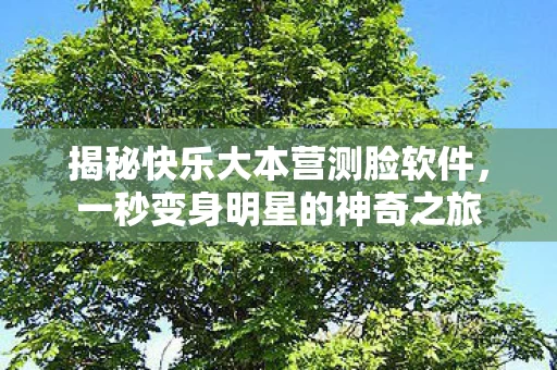 揭秘快乐大本营测脸软件，一秒变身明星的神奇之旅