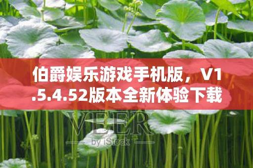 伯爵娱乐游戏手机版,V1.5.4.52版本全新体验下载攻略 伯爵娱乐游戏手机版,V1.5.4.52版本全新体验下载攻略