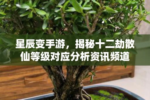 星辰变手游,揭秘十二劫散仙等级对应分析资讯频道 星辰变手游,揭秘十二劫散仙等级对应分析资讯频道