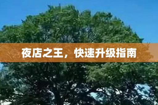 夜店之王，快速升级指南