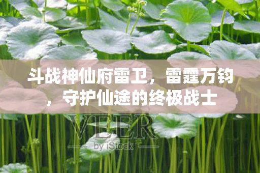 斗战神仙府雷卫,雷霆万钧,守护仙途的终极战士 斗战神仙府雷卫,雷霆万钧,守护仙途的终极战士