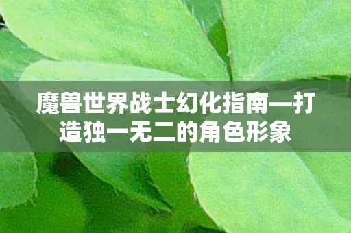 魔兽世界战士幻化指南—打造独一无二的角色形象 魔兽世界战士幻化指南—打造独一无二的角色形象