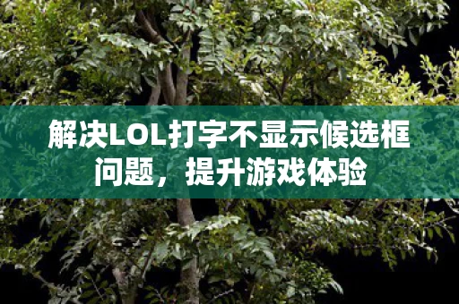 解决LOL打字不显示候选框问题图片