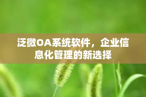 企业信息化管理的新选择图片