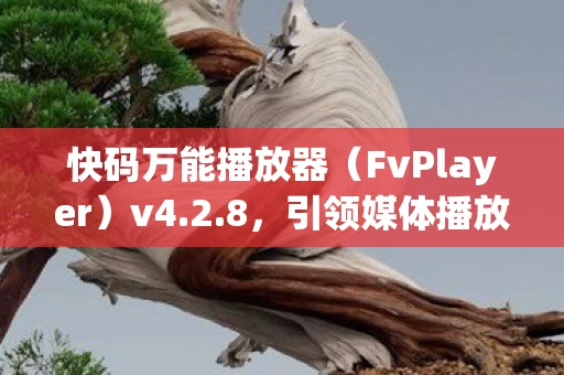 引领媒体播放新纪元图片