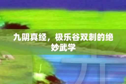 极乐谷双刺的绝妙武学图片