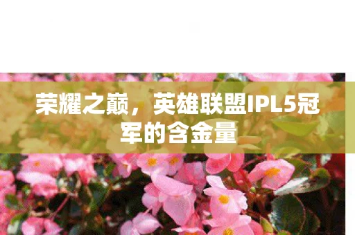 英雄联盟IPL5冠军的含金量图片