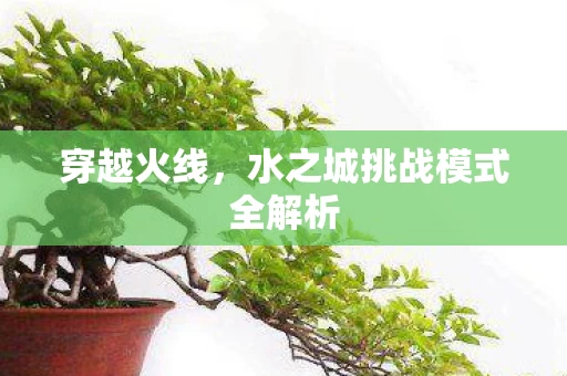 水之城挑战模式全解析图片
