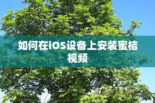 如何在iOS设备上安装蜜桔视频图片