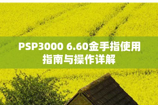 60金手指使用指南与操作详解图片