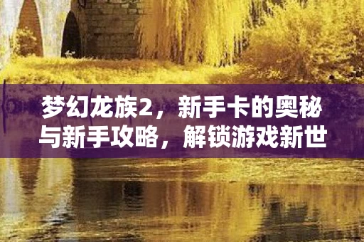 新手卡的奥秘与新手攻略图片
