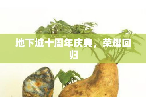 地下城十周年庆典图片