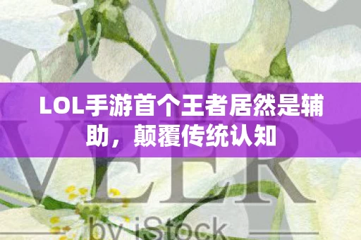 LOL手游首个王者居然是辅助图片