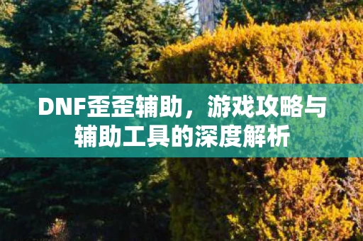 游戏攻略与辅助工具的深度解析图片