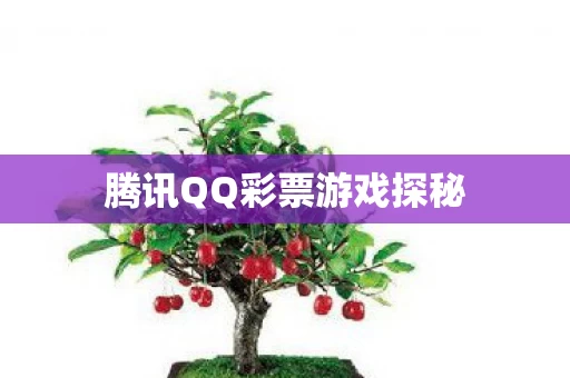 腾讯QQ彩票游戏探秘图片