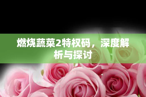 燃烧蔬菜2特权码图片
