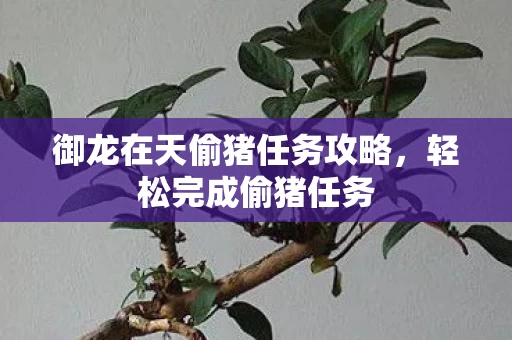 御龙在天偷猪任务攻略图片