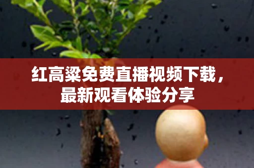 红高粱免费直播视频下载图片
