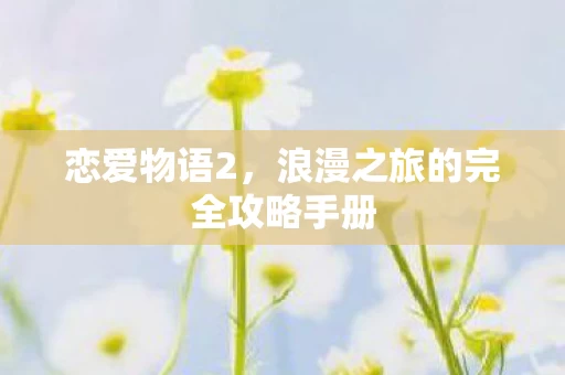 浪漫之旅的完全攻略手册图片