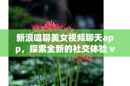 新浪唱聊美女视频聊天app图片
