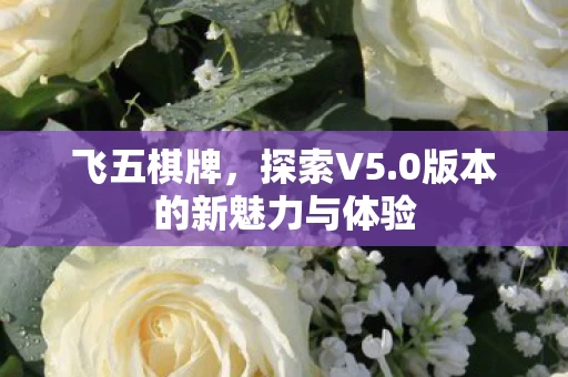 0版本的新魅力与体验图片