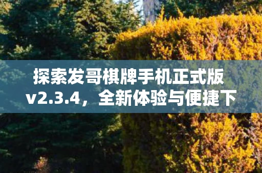 探索发哥棋牌手机正式版 v2图片