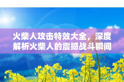 深度解析火柴人的震撼战斗瞬间图片
