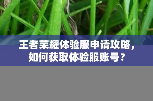 王者荣耀体验服申请攻略图片