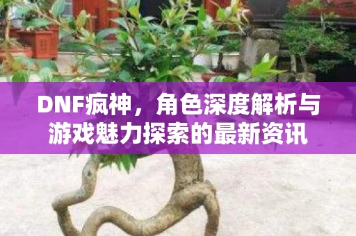 角色深度解析与游戏魅力探索的最新资讯图片