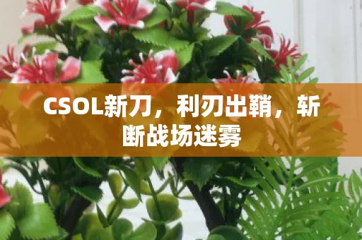 CSOL新刀图片