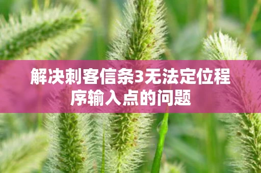 解决刺客信条3无法定位程序输入点的问题图片