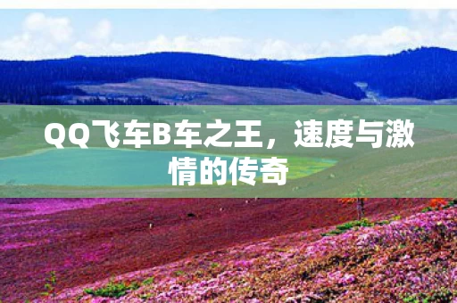 QQ飞车B车之王图片