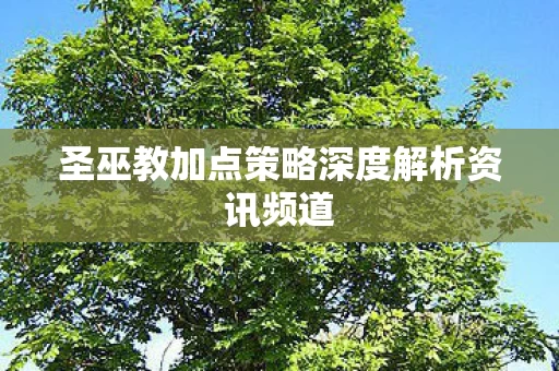 圣巫教加点策略深度解析资讯频道图片