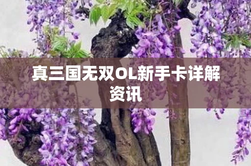 真三国无双OL新手卡详解资讯图片
