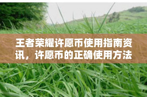 王者荣耀许愿币使用指南资讯图片