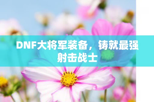DNF大将军装备图片