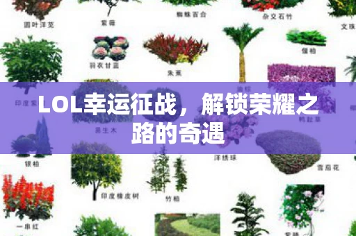 解锁荣耀之路的奇遇图片