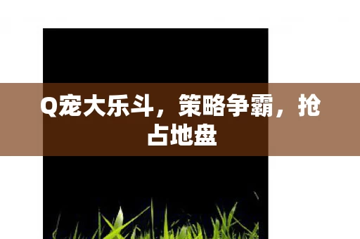 Q宠大乐斗图片
