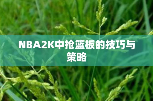 NBA2K中抢篮板的技巧与策略图片
