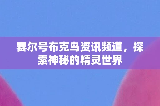赛尔号布克鸟资讯频道图片